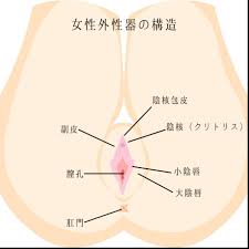 女性性器整形|静岡美容外科橋本クリニック