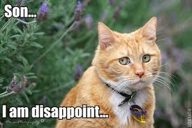 images?q=tbn:ANd9GcSdG0CPKouQ8GzrVUIXtR16PVz-hmEwx4KO-xbz7fch8OlFvOWLcg