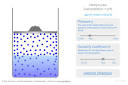 Transparent reality simulation of gas solubility in water