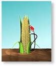 15 Percent Ethanol “Gas” May be Here by Fall… | Eric Peters Autos
