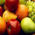http://t1.gstatic.com/images?q=tbn:ANd9GcSdLFzx9qylIp4UvcJLYV7LUOy8nqDwQkyBNTYPcUtm0cG_opU7LPYIjKs