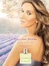 Celine Dior Spring in Provance press release - o.2003