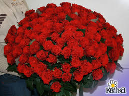 [Зображення: images?q=tbn:ANd9GcSdPqmeakRNJ0XOiwRKMJl...ayv_NR_-aw]