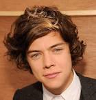Harry Styles Hair High Quality