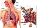 LEGIONNAIRES DISEASE Picture