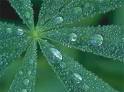 Condensation - Geography For Kids - By KidsGeo.