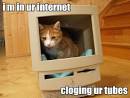 i m in ur internet - Lolcats - Funny Pictures of Cats - I Can Has ...