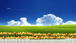 Free Wallpapres  Totally Free High Resolution HQ and HDTV