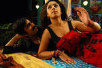 Richa Gangopadhyay dropping her pallu for Ravi Teja to screw her