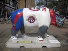 "World Lacrosse" rhino is seen - via Daymix