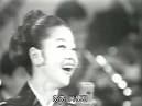 アンコ椿は恋の花