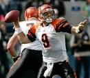 Carson Palmer Picture 3