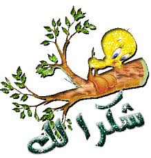 اضغط هنا لتكبير الصوره