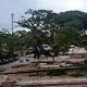 Fuerte vendaval destruy&oacute; viviendas y &aacute;rbol insignia de Land&aacute;zuri ... - Vanguardia Liberal