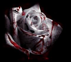 http://t1.gstatic.com/images?q=tbn:ANd9GcSf_ebdK8uvV27Qn8aYmXzk_E3Rp3EvGfczKUoH82srUPbRTPqQaw