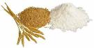 Wheat Flour Products, Manufacturers, Supplier