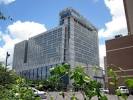 Photos of Hilton Americas   Houston Houston   Hotel Images