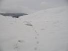 Beards Hill, The moorland side. Somewhere, beneath the snow, the path to The - via Daymix