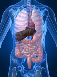 Colon CLeansing