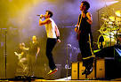 311 Picture 1