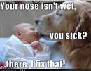 Funny Pictures. Funny, General