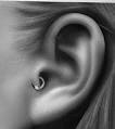 Tragus Piercing / Coolspotters