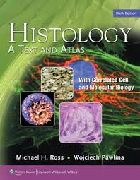 Histología: Texto y Atlas. 2010 Images?q=tbn:ANd9GcSgqEHyq2pOxkSwimFR_Fwu847FbEUPclVdZ5LsFOY89m10HAHe