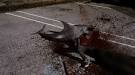Watch the Trailer for Syfy's Sharknado, Which Is About a Tornado ...