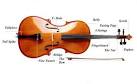 Parts of the Cello