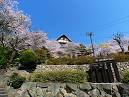 須磨区 神戸の風景写真-イベント＆祭りの写真【神戸写真ブログ】