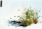 Grass - via Daymix