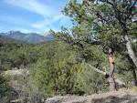 Central Colorado's pinyon/juniper habitat | Sipapu