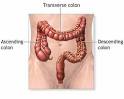  Flush Colon Toxins Out, With Body Cleanse