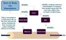 <b>Circulação Entero</b>-<b>hepática</b> da