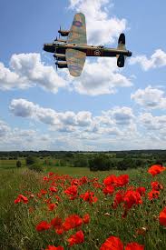 Lancaster Bomber And Poppy Field Photograph by Ken Brannen ... - lancaster-bomber-and-poppy-field-ken-brannen