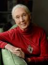 The Blog for Carl Sams - Jane-Goodall-Portrait2