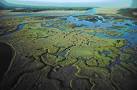 NOAA 200th: Transformations: Coastal Ecosystem Research: Estuaries