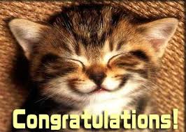 congratulations kitten