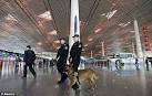 Hijacked and hidden? US counter-terror officials fear plane could.