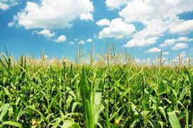 http://www.agroindex.bg/
