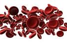 Stem Cell and Umbilical Cord Blood Donation and Banking