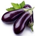 Earth to plate | Aubergines