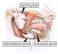 Consumer Updates > Dry Mouth? Don't Delay Treatment