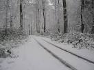 Snow on approach to Wyfold RDA - via Daymix