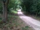 SK8706 : Rutland Water cycle - via Daymix