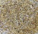 Anise Seed - Photo of Anise Seed - Greek Spices Photo Gallery