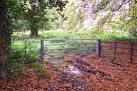 TA2110 : Woodland near Healing Church - via Daymix