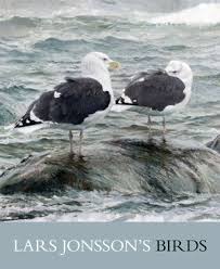 Lars Jonsson\u0026#39;s Birds: Paintings from a Near Horizon Lars Jonsson. Winner of the 2009 National Outdoor Book Award in the Design and Artistic Merit Category - k8872