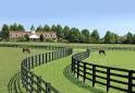 Quarter Horse Breeding Farms | Horsesplanet.