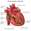 Heart Rhythm Specialists of South Florida - Interventional Cardiac ...